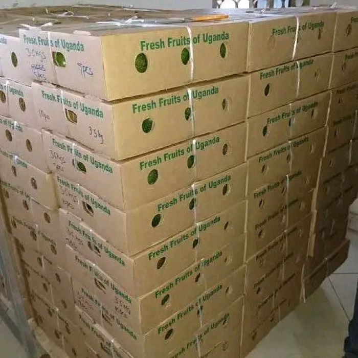 Cargo traffic up in Entebbe Airport